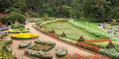 Ooty Botanical Gardens