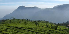 Coonoor tour to ooty