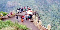 ooty dolphin tours