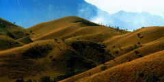 Mukurthi peak
