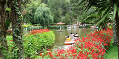 sim's park ooty