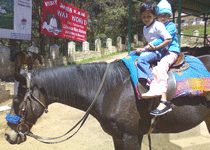 Horse Riding in Ooty
