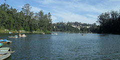 Ooty lake