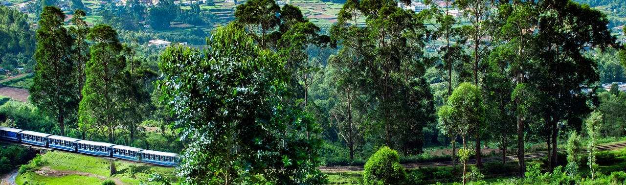 Ooty India