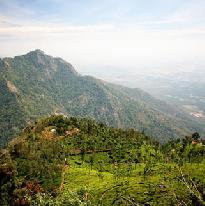 Nilgiri mountain View